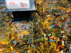 -盒马鲜生(皇庭广场店)