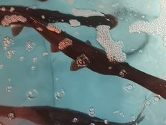 -长湘居(数码大厦店)