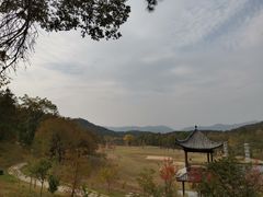 -黄陂区野村谷景区