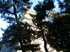 -名古屋城