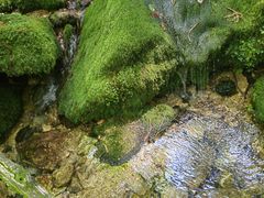 -西安祥峪森林公园