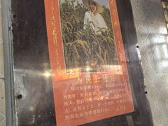 -锦泓老字号猪脏粉(东联大厦店)