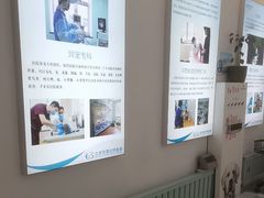 -北京观赏动物医院·24小时大型综合·猫专科·异宠专科