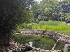 -成都市活水公园