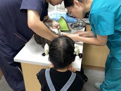 -贝利宠物医院·骨科·眼科·肿瘤转诊中心(南坪诊疗中心)