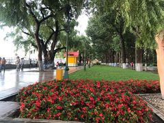 -人民防洪胜利纪念塔