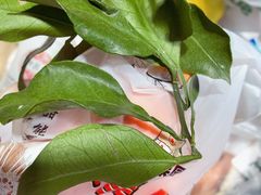 -元初食品(幸福e家小区店)