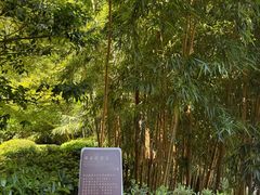 -十八棵（老龙井）御茶园(老龙井店)