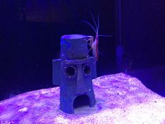 -海合安天津极地海洋公园