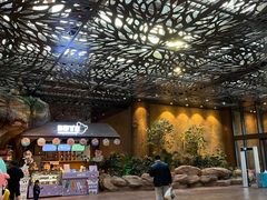 -杭州开元森泊度假乐园