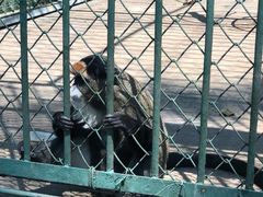-秦皇岛野生动物园
