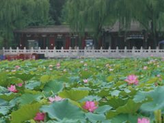 -郭守敬纪念馆