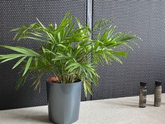 -深圳滨河时代ICON LAB艾垦酒店