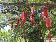 -天津盘山风景名胜区