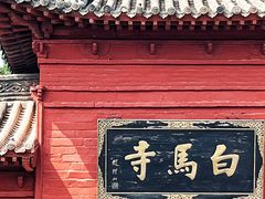 -洛阳白马寺