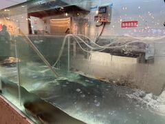 -赵大妖·活鱼现烤(天水店)