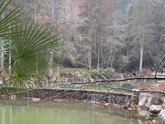 -灵栖洞天