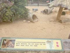 -深圳野生动物园