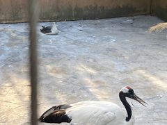 -宁波野生动物园