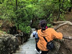 -汤旺河林海奇石景区