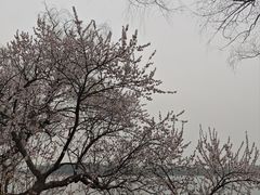 -颐和园