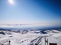 -长白山吉祥物天池水怪专卖