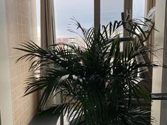 -悦健身私教工作室(双井店)