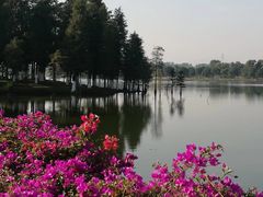 -松山湖南湖湾露营营地