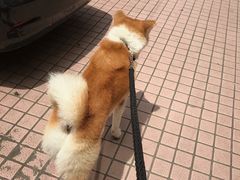 -YCHL Studios健身工作室(市二宫店)