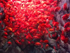 -波塞冬旅游度假区