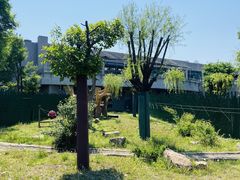 -沈阳森林动物园