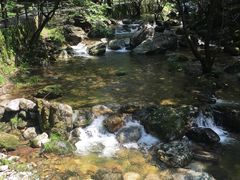 -牛背梁国家森林公园