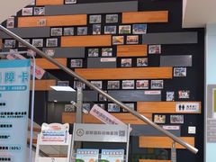 -奈斯宠物医院·核磁CT·异宠专科·内镜(中南店)