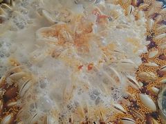 -水哥卜卜贝(东晓·胜汇里店)