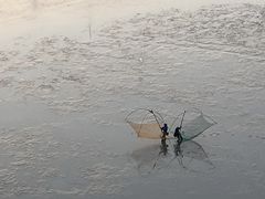 -北岐滩涂