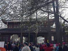 -堤角公园