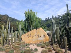 -深圳仙湖植物园