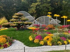 -上海共青森林公园