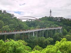 -金鸡山公园