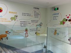 -瑞派申生动物医院·24H夜诊·国际动物医疗中心·骨外科(吴中路店)
