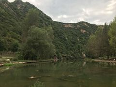 -白河湾生态旅游一条川