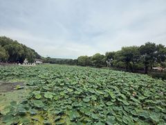 -北山公园