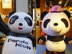 -熊猫屋(宽窄巷子景区店)