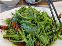 -上庄晋风庄园(上庄店)