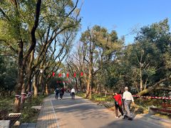 -东湖落雁景区