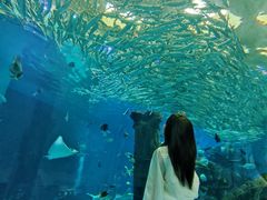 -波塞冬旅游度假区