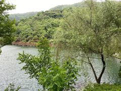 -桃花岭景区