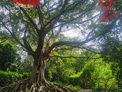 -三水森林公园孔圣园