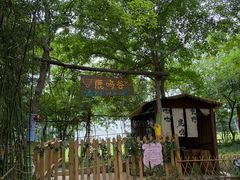 -合肥野生动物园