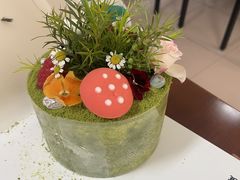 -5Cake五度无蔗糖低脂蛋糕(陶然亭店)